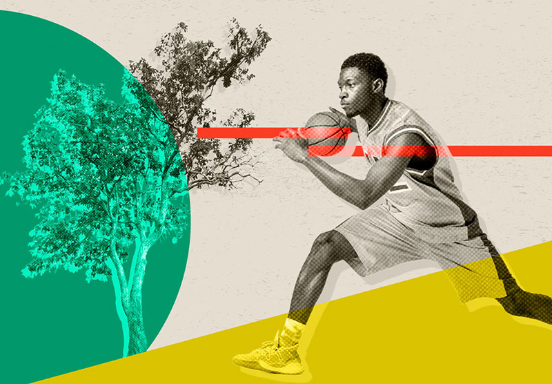 Cover art from UN CC:Learn e-courses and NGO trainings.